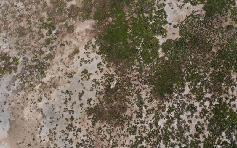 Dji 0530