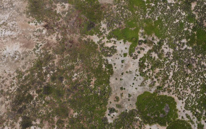 Dji 0531