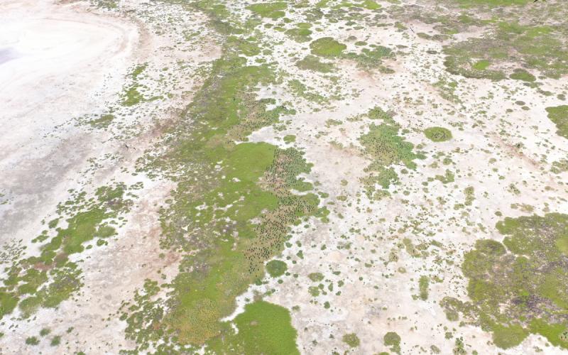Dji 055210